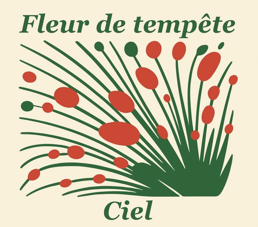 Pochette de l'album Ciel — Fleur de Tempête